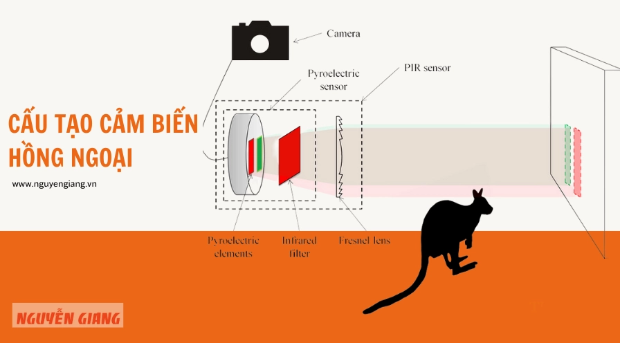 Cấu tạo cơ bản của một cảm biến hồng ngoại