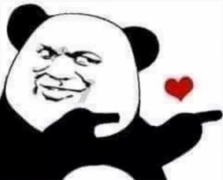 Góc nghiêng thần thánh của ảnh gấu trúc bựa