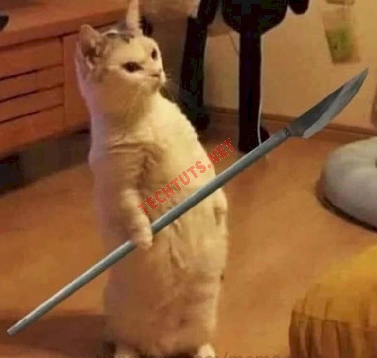Hình ảnh meme mèo cầm dao bí ẩn trong bóng tối