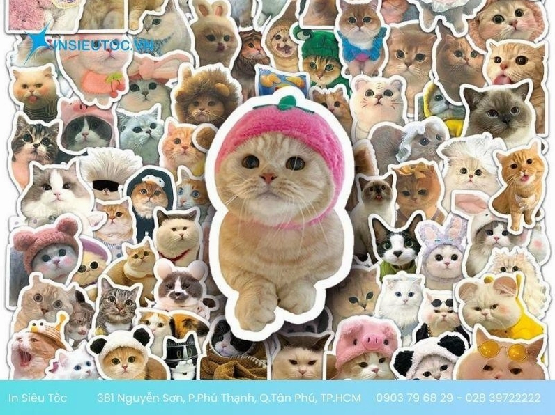 hình ảnh sticker meme mèo con đáng yêu