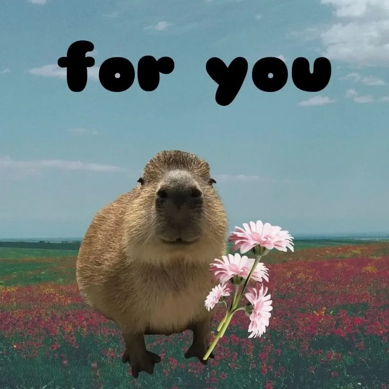 Bộ Sưu Tập Cận Cảnh Ảnh Capybara Meme Vô Tri Đỉnh Cao Cực Hài 13 Hình capybara meme siêu dễ thương khiến ai cũng bật cười