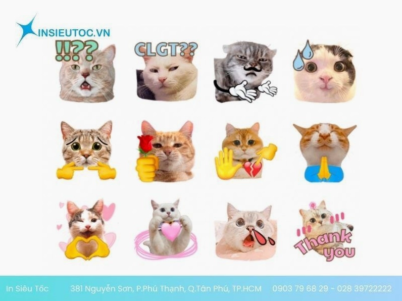 hình dán meme mèo vui nhộn và tinh nghịch