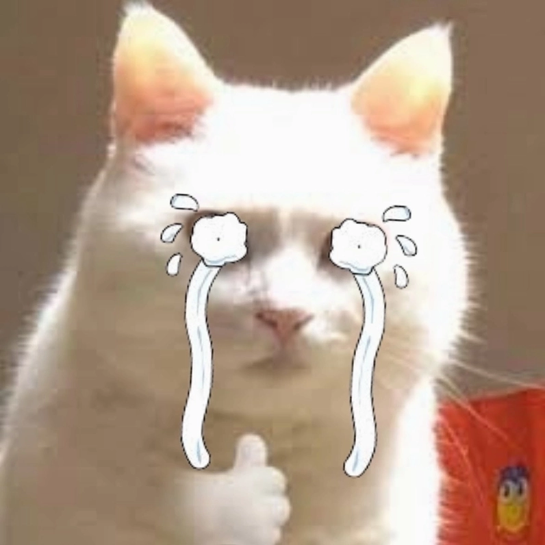 Hình meme mèo khóc hút trend