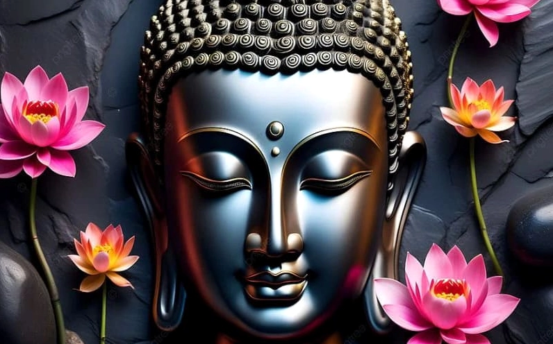 Hình nền bông sen hồng với những cánh hoa nở rộ, đầy sức sống