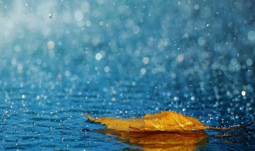 Hình nền buồn tâm trạng với những hạt mưa rơi