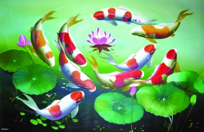 Hình nền cá chép vàng bơi lội dưới nước