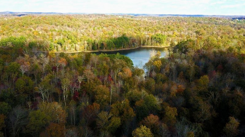 Bộ Sưu Tập Hình Nền Chill Đẹp Mắt Đưa Bạn Đến Không Gian Thư Giãn 4 Hình nền chill bình minh trên biển với ánh sáng dịu nhẹ