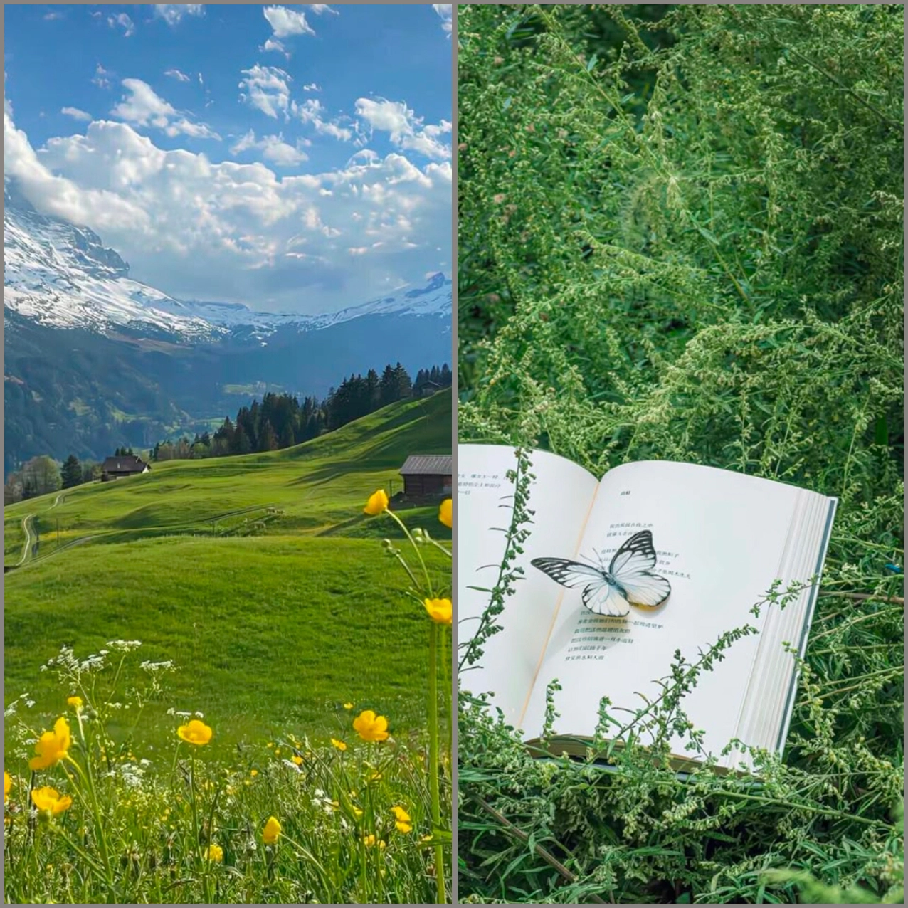 Hình nền chữ đơn giản nhưng đầy phong cách và thanh lịch