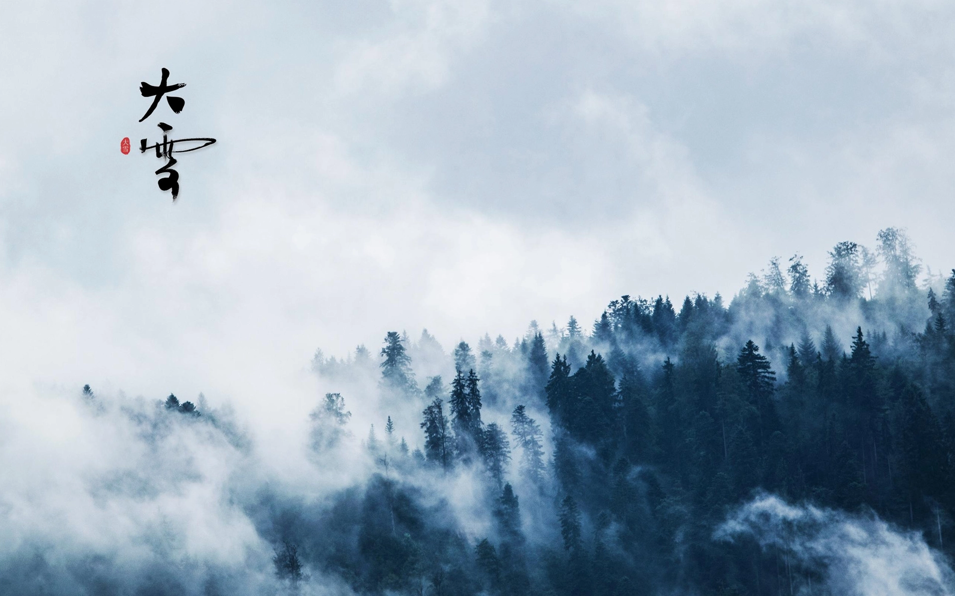 Hình nền cổ trang khu rừng lá kim huyền ảo trong sương sớm