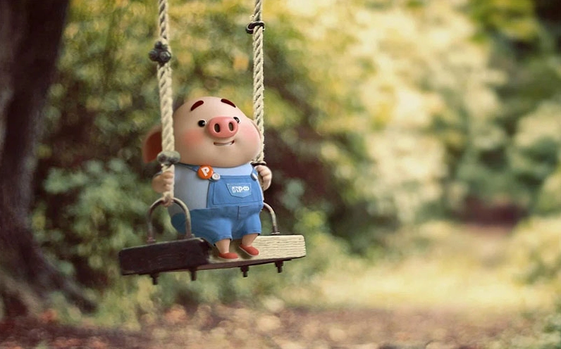 Hình nền con heo bé xíu đang khám phá thế giới xung quanh