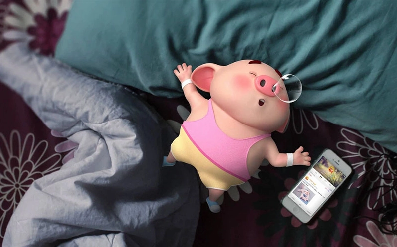 Hình nền con heo đang tận hưởng nắng vàng và gió mát