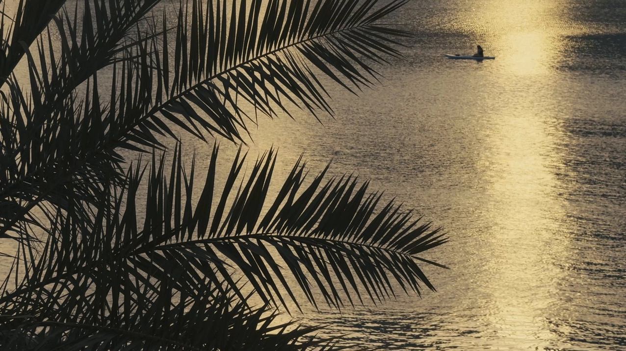 Hình nền đẹp thiên nhiên bãi biển cát trắng nắng vàng mùa hạ