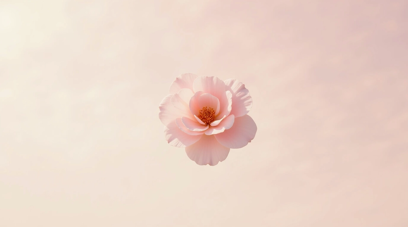 Hình nền đẹp thiên nhiên cận cảnh hoa anh đào hồng tươi tắn