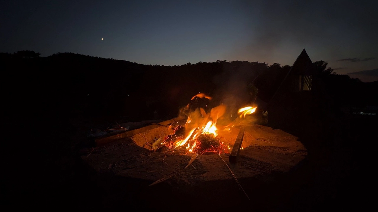 Hình nền đẹp thiên nhiên với ngọn lửa lung linh trong khu rừng tối