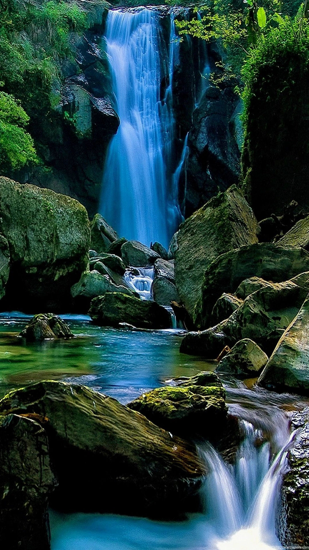 Bộ Sưu Tập Hình Nền Mệnh Mộc Tuyệt Đẹp và Mang Lại May Mắn 15 Hình nền điện thoại phong thủy mệnh Mộc với cây xanh và ánh sáng mặt trời