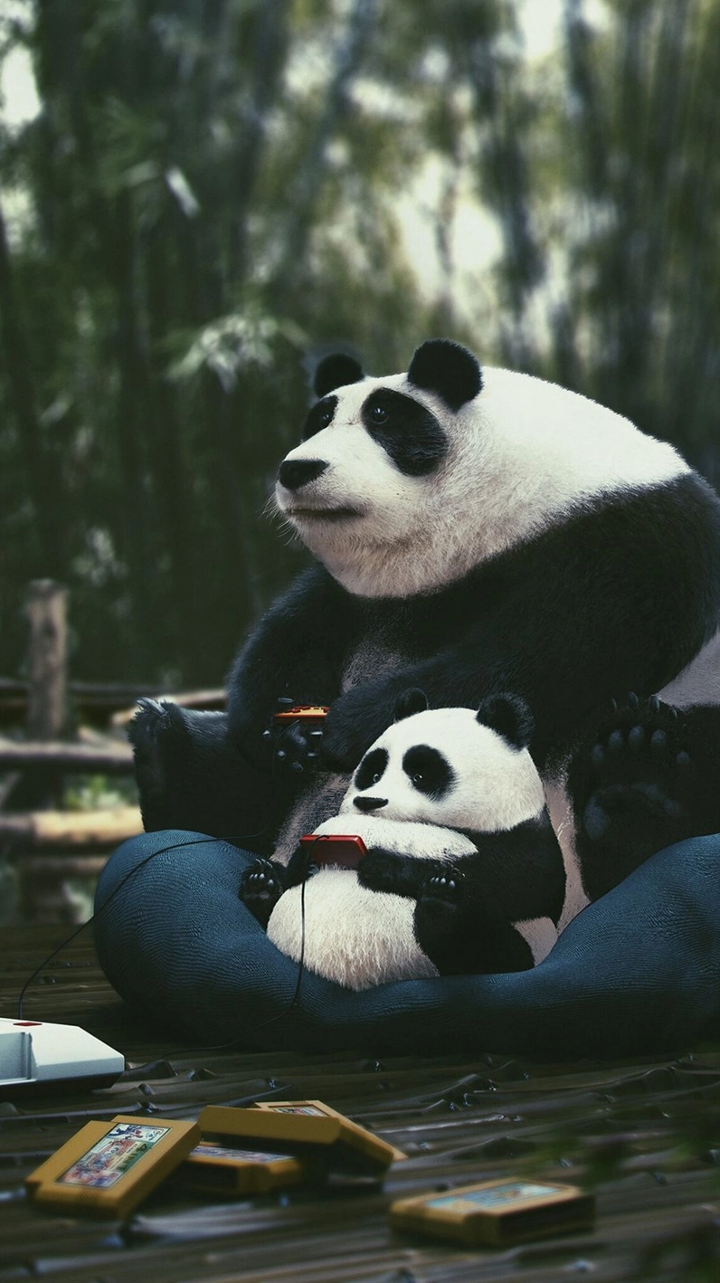 Hình nền gấu trúc panda cute đang ngủ trên cành cây