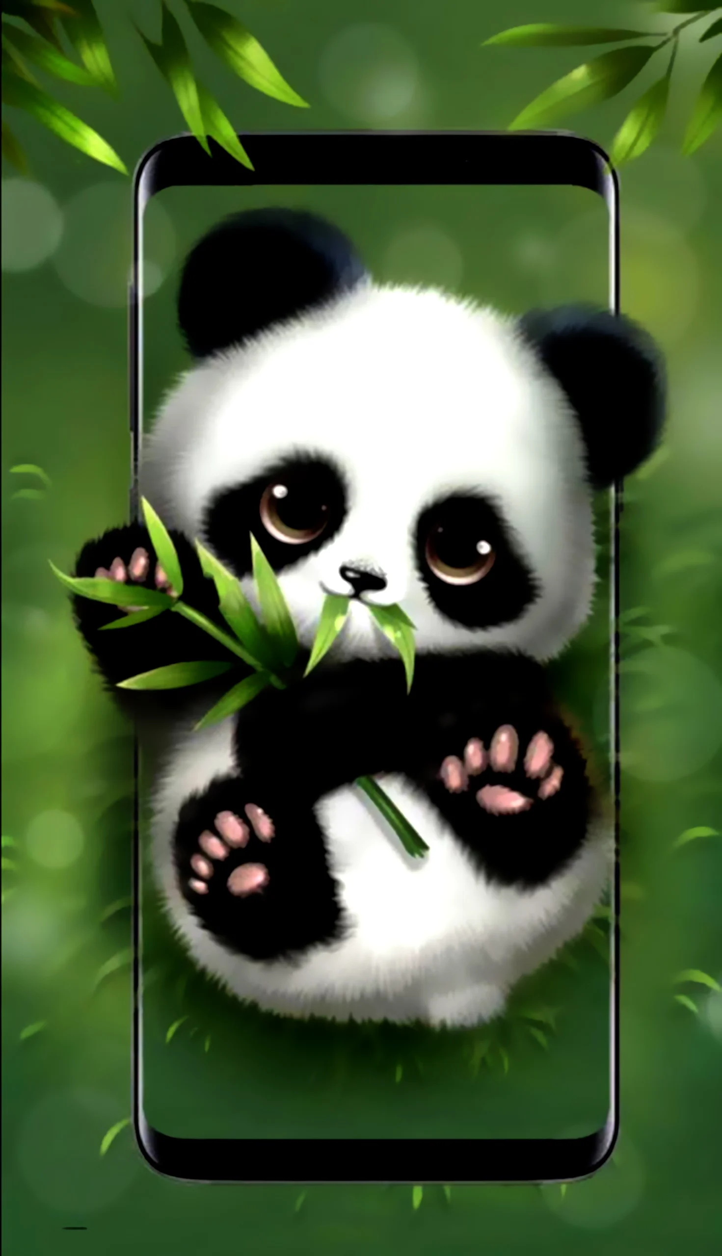 Hình nền gấu trúc panda cute với khuôn mặt biểu cảm