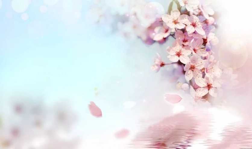 Hình nền hoa đào Tết 2026 độc đáo dành cho máy tính bảng