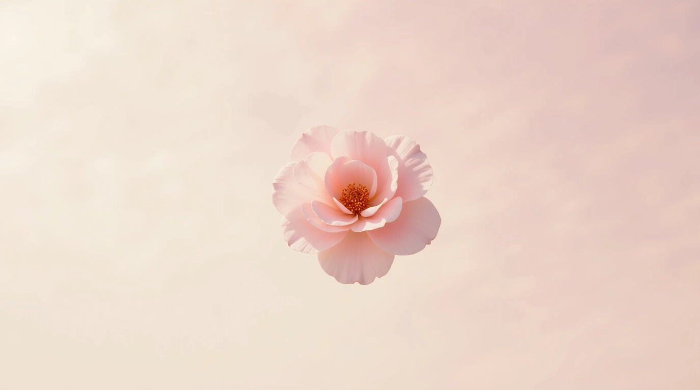 Hình nền hoa hướng dương với những cánh hoa vàng rực cận cảnh