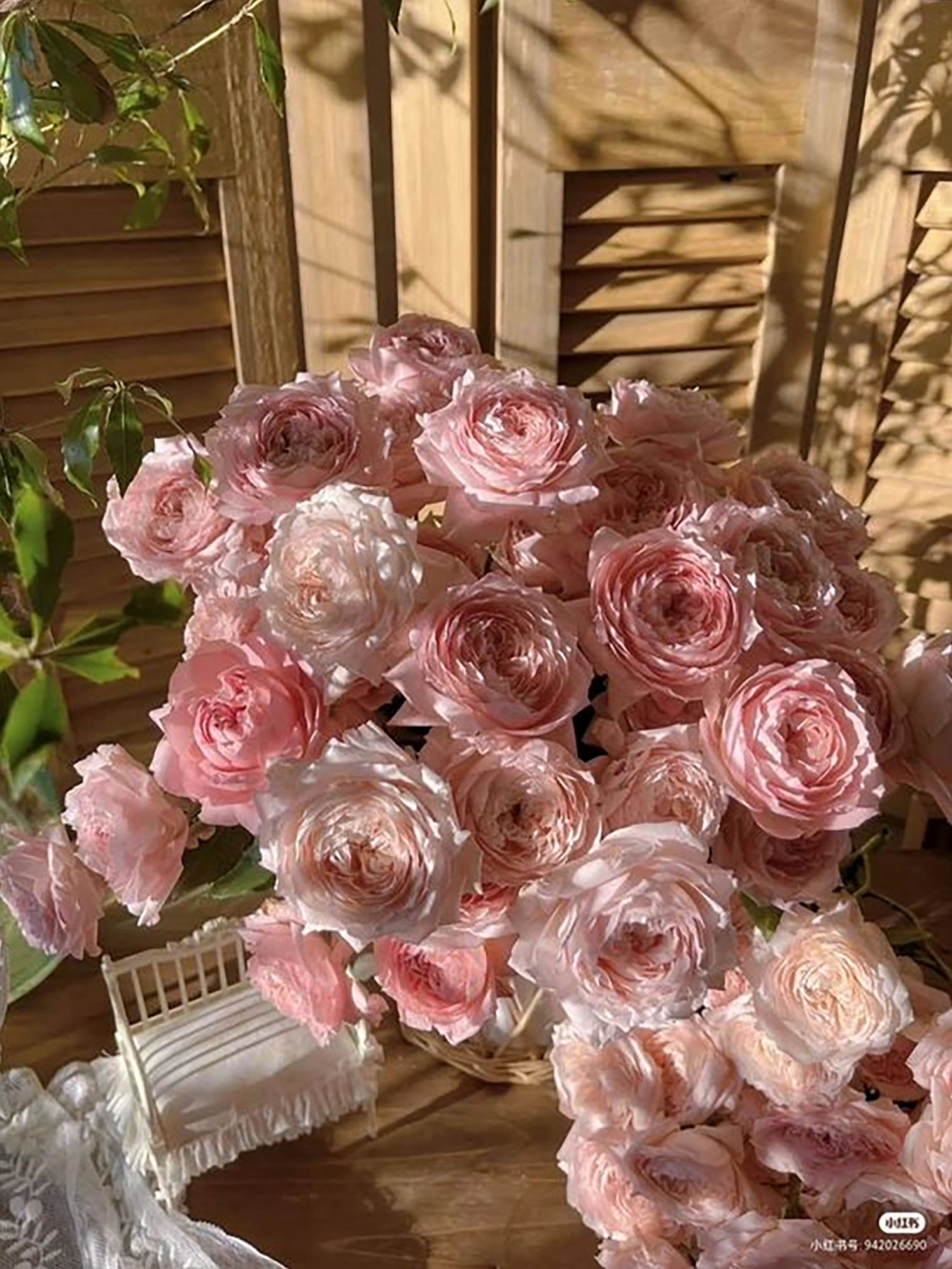 Bộ sưu tập hình nền hoa mẫu đơn lung linh và ý nghĩa phong thủy 6 Hình nền hoa mẫu đơn đỏ thắm rực rỡ