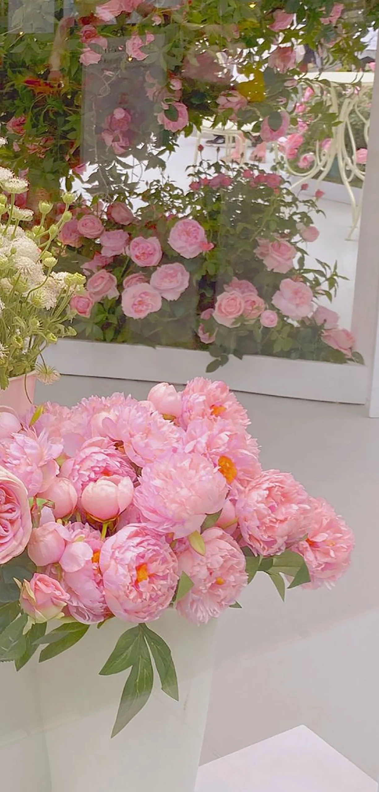 Bộ sưu tập hình nền hoa mẫu đơn lung linh và ý nghĩa phong thủy 15 Hình nền hoa mẫu đơn màu hồng tím lãng mạn