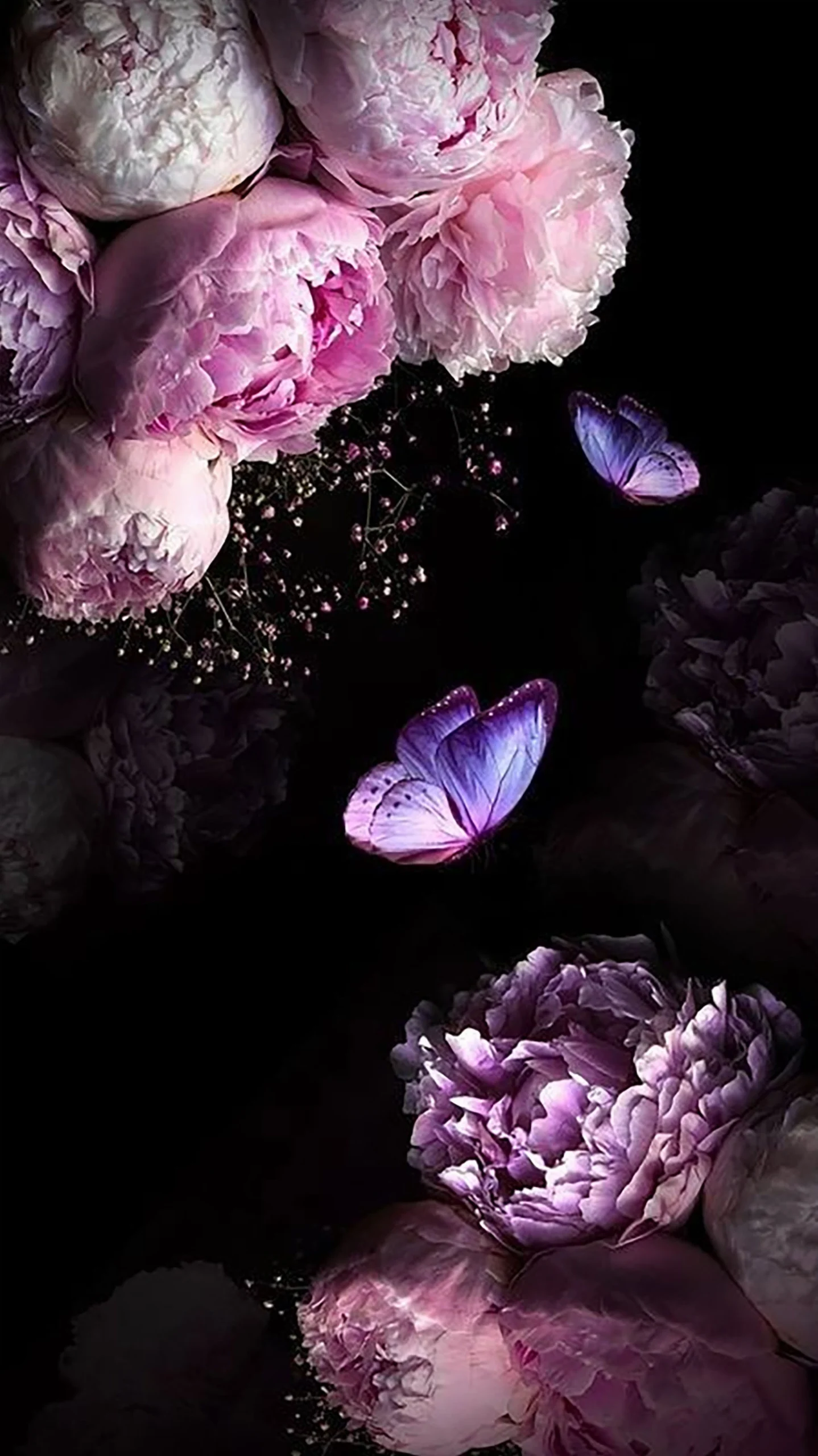 Bộ sưu tập hình nền hoa mẫu đơn lung linh và ý nghĩa phong thủy 18 Hình nền hoa mẫu đơn phong cách vẽ tranh nghệ thuật