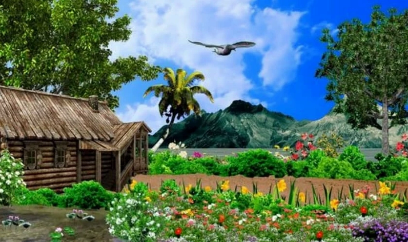 Hình nền laptop cầu may với rừng cây xanh rờn