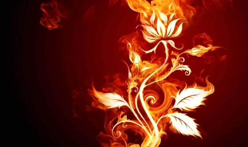 Hình nền laptop thu hút tài lộc với ánh đèn thành phố đêm