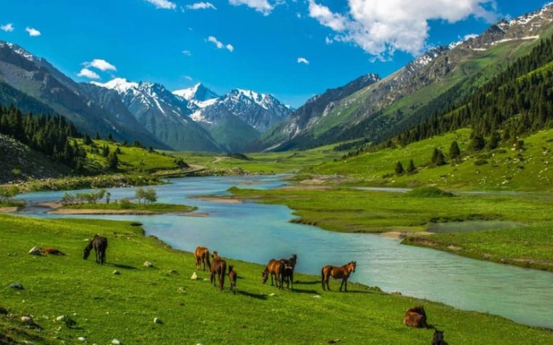 Hình nền macbook chill với màu sắc nhẹ nhàng