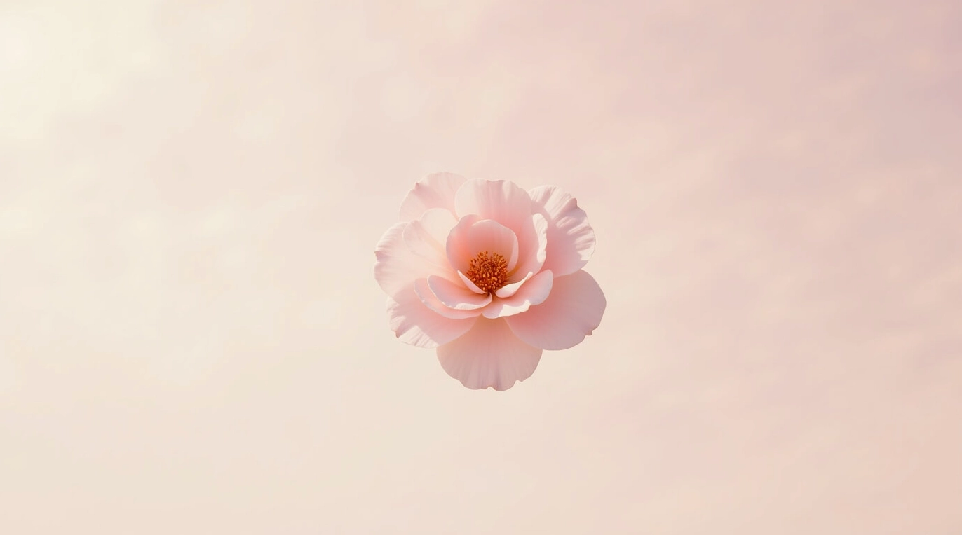 Hình nền mầm non với hoa anh đào hồng dịu dàng