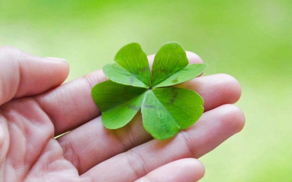 Hình nền may mắn tài lộc với biểu tượng tiền vàng và đồng xu lấp lánh