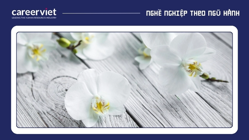 Top 17 hình nền mệnh kim đẹp nhất và ý nghĩa mang tài lộc 5 Hình nền mệnh kim với cành hoa lan trắng thanh lịch