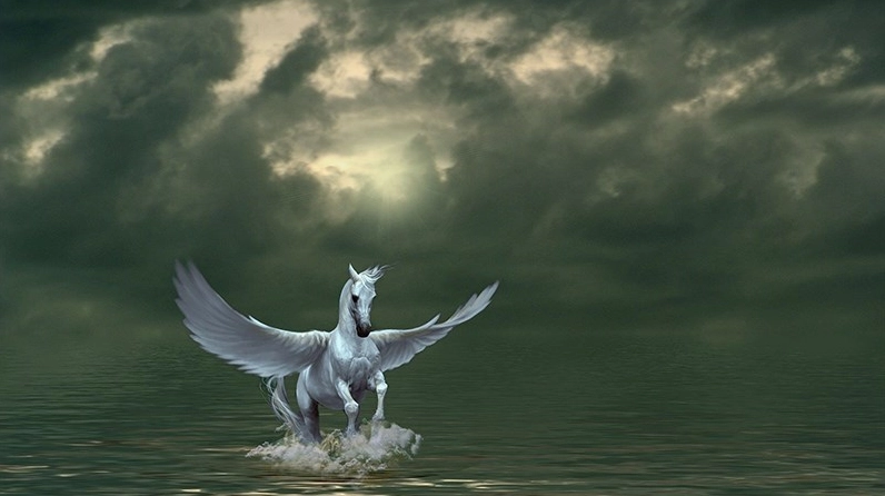 Bộ Sưu Tập Hình Nền Ngựa Đẹp Tuyệt Mỹ Cho Mọi Thiết Bị 3 Hình nền ngựa đẹp với ngựa đen phi nước đại qua vùng nước