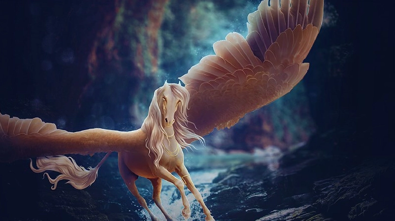 Bộ Sưu Tập Hình Nền Ngựa Đẹp Tuyệt Mỹ Cho Mọi Thiết Bị 9 Hình nền ngựa đẹp với ngựa trắng tinh khôi đang nhìn về phía xa