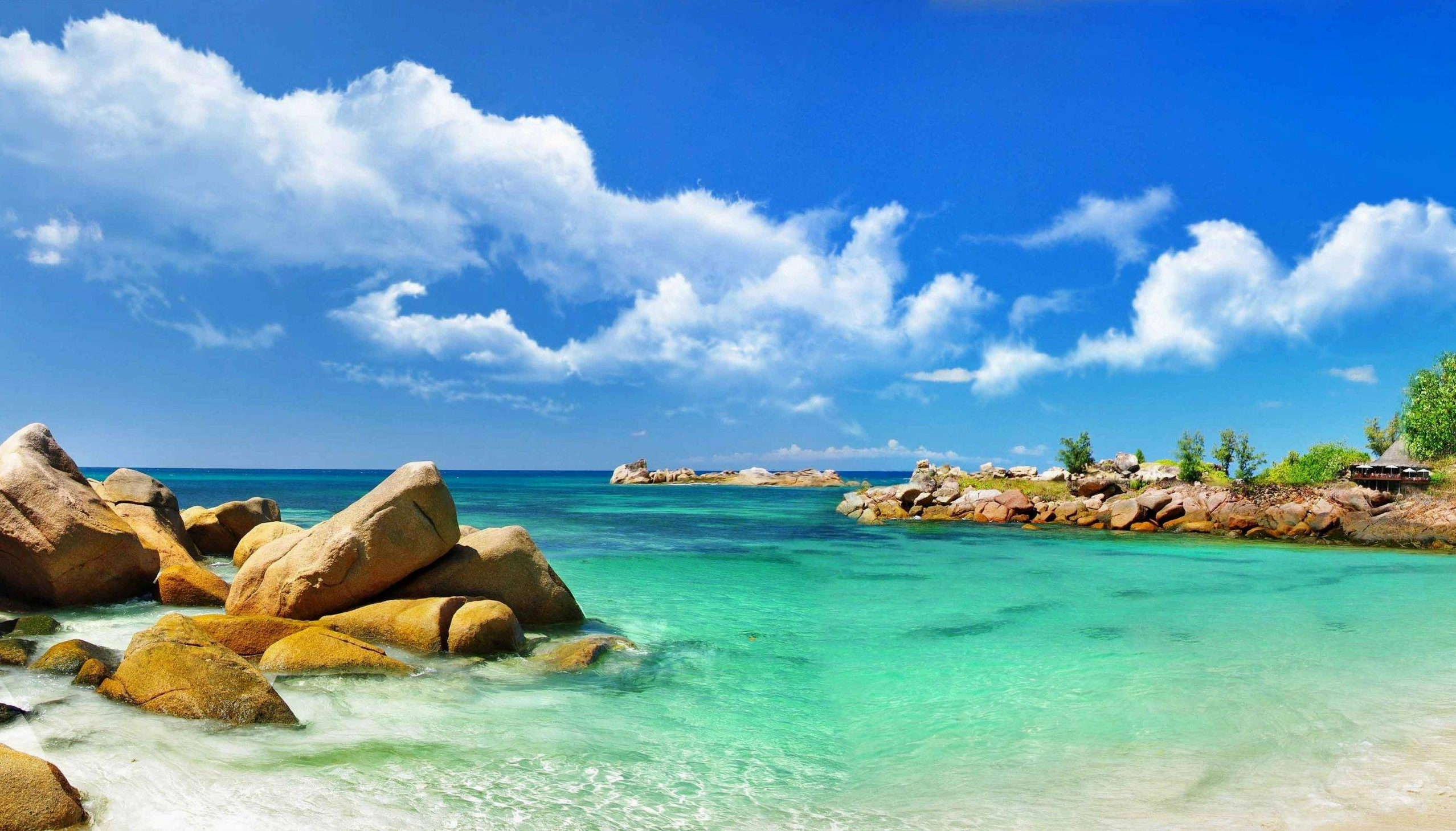 Hình nền phong thủy mệnh Mộc với gam màu xanh tươi mát