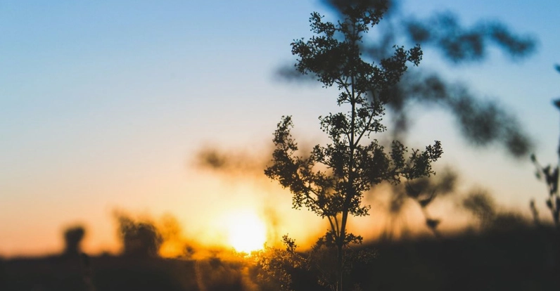 Hình nền Samsung cho máy tính với các đường cong mượt mà