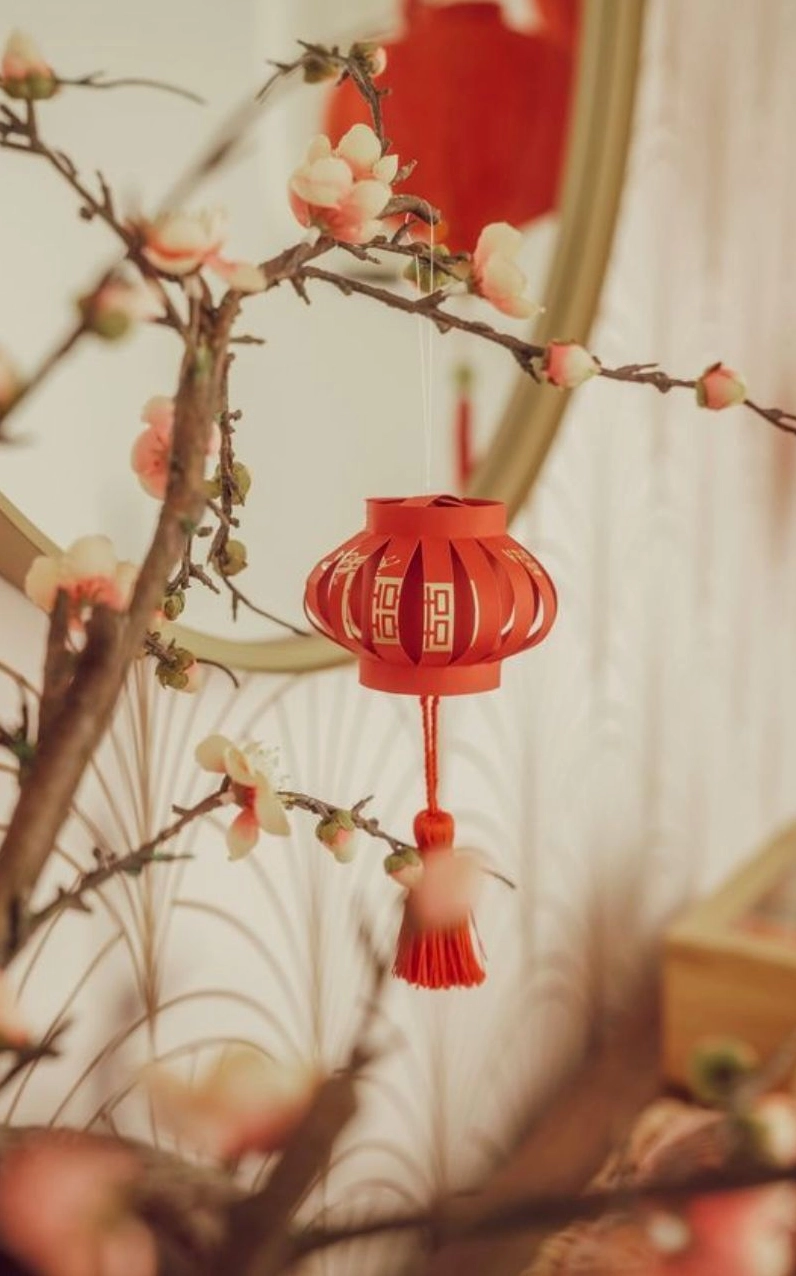 Hình nền tết cute hoa mai nở rực rỡ đón xuân