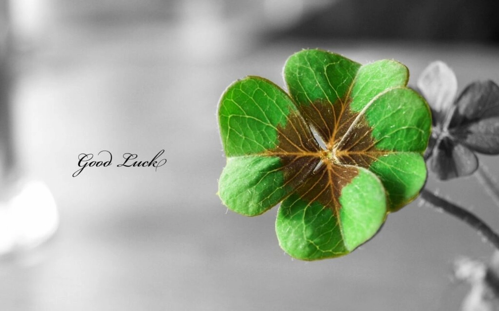 Khám phá bộ sưu tập hình nền thần tài mang lại may mắn tài lộc 2 Hình nền thần tài ngự trên đài sen vàng kim