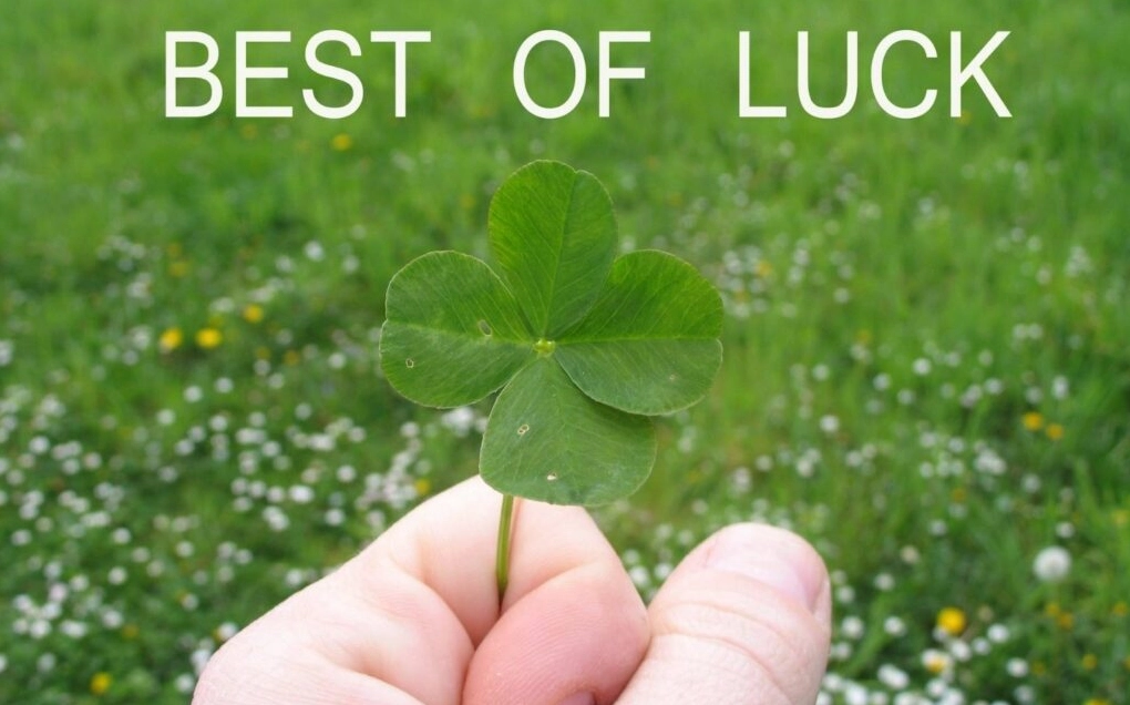 Hình nền thu hút may mắn hoa sen và đá quý