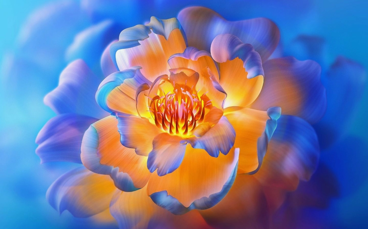 Hình nền Windows 11 với hoa mẫu đơn cam ánh tím huyền ảo
