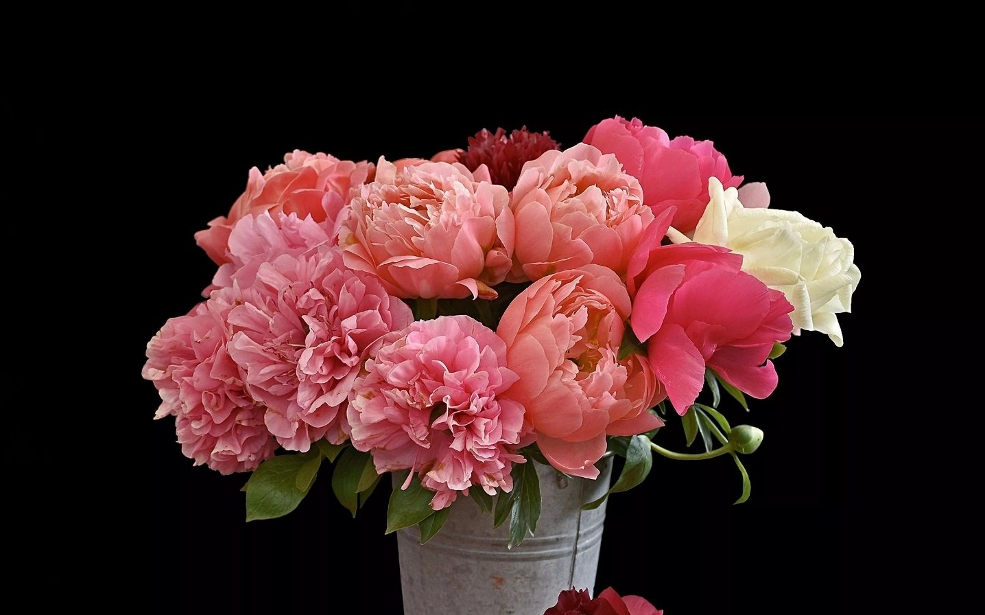 Hình nền Windows 11 với lọ hoa mẫu đơn đa sắc