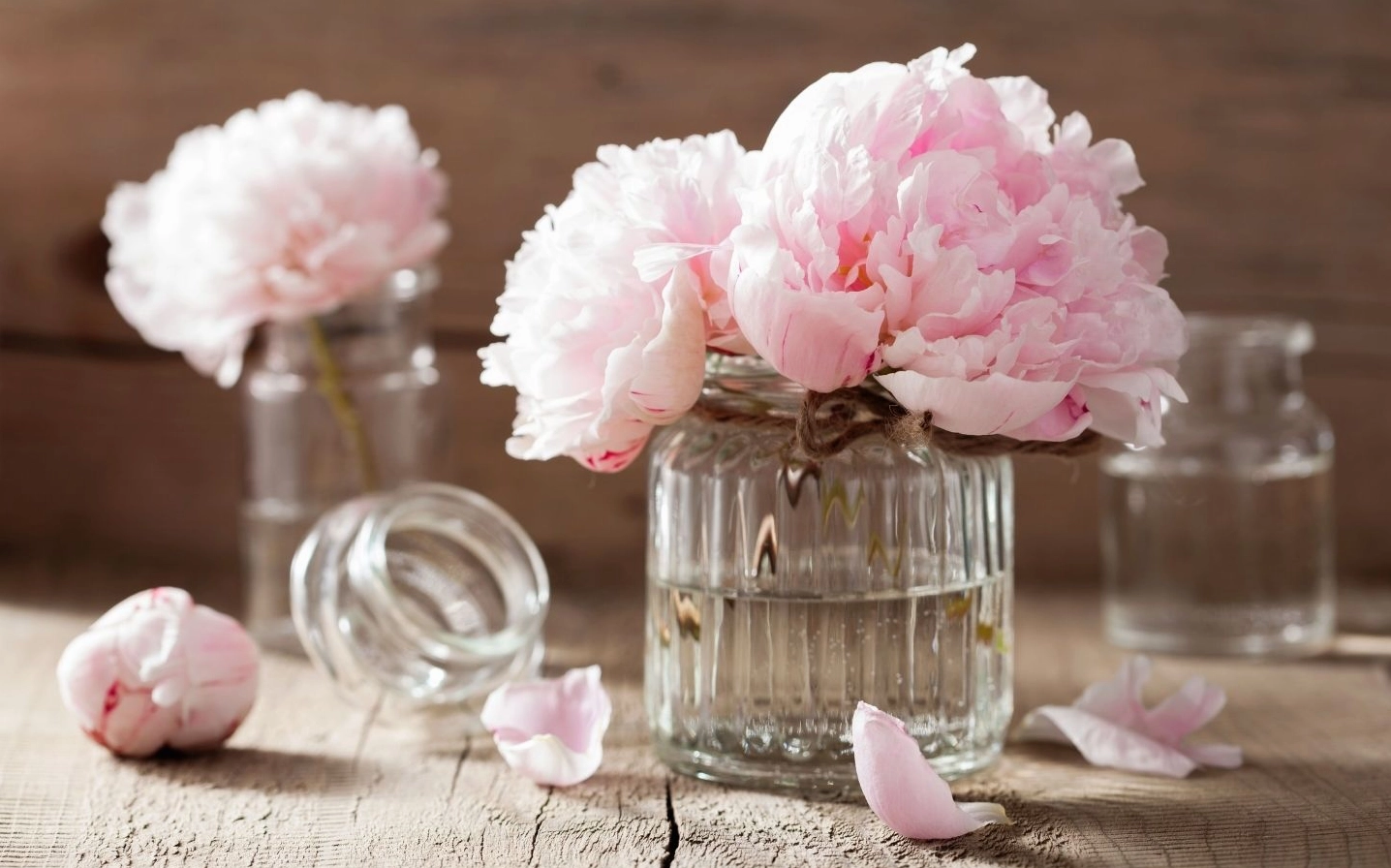 Hình nền Windows 11 với mẫu đơn hồng trong lọ thủy tinh