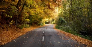 kham pha bo suu tap hinh nen mua thu dep me hon va an tuong 473