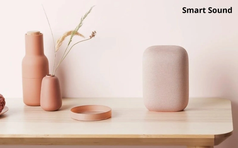 Loa Google Nest là một ví dụ về loa thông minh