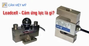 load cell la gi va co che hoat dong phan loai pho bien 716