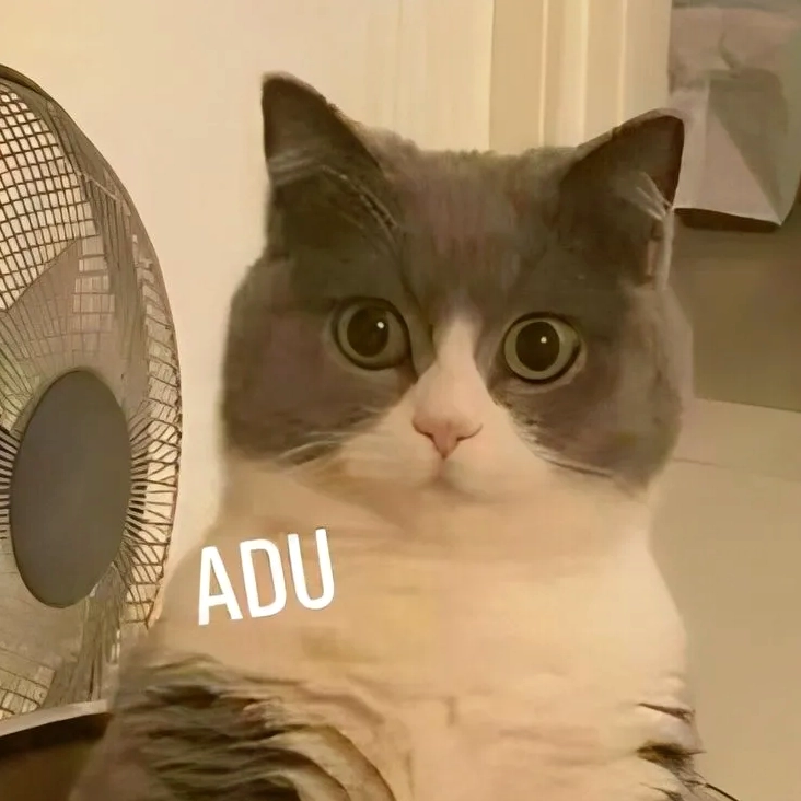 Meme bựa mèo đang nhìn chằm chằm đầy ẩn ý