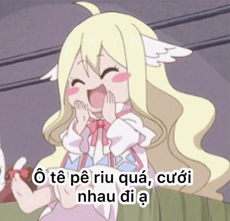 Meme bựa mèo đen với ánh mắt 