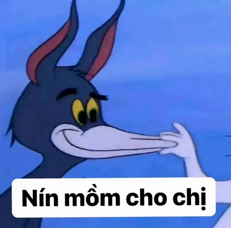 Meme bựa mèo với biểu cảm 