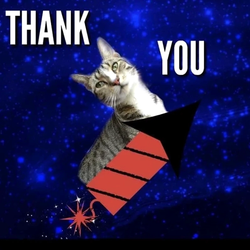 Bộ Sưu Tập Ảnh Meme Cảm Ơn Hài Hước Và Độc Đáo Nhất 12 Meme cảm ơn khi kết thúc bài thuyết trình