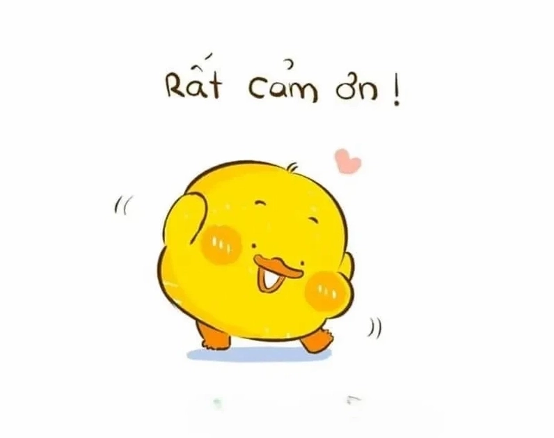 Bộ Sưu Tập Ảnh Meme Cảm Ơn Hài Hước Và Độc Đáo Nhất 8 Meme cảm ơn mèo